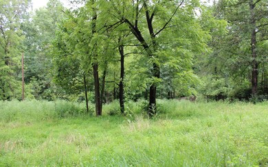 Additional View