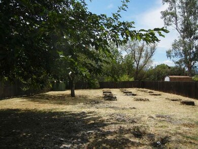 Back_Yard