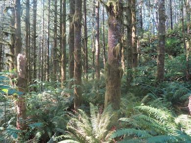 0 State Hwy 4 unit 7, Graysriver, WA 98621 - photo 3