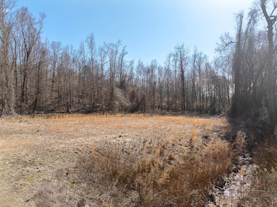 0 Hwy 70 Ave unit RTC2802275, Huntingdon, TN 38344 - photo 4