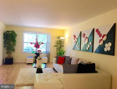 6195 Vine Forest Ct, Falls Church, VA 22044 - photo 6