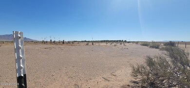 0000 Purple Sage Rd SW, Deming, NM 88030 - photo 4