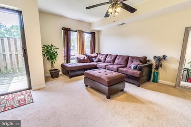 5804A Village Green Dr, Alexandria, VA 22309 - photo 4