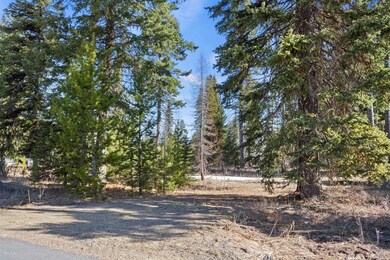 Partially Wooded Level Lot