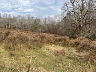 0 Julius Bridge Rd unit 420745, Ball Ground, GA 30107 - photo 5