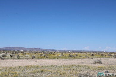 0 Piedras Rd SE unit 20231677, Deming, NM 88030 - photo 4