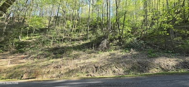 lot38pic3