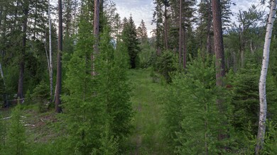 30632 Carney Creek Rd, Big Fork, MT 59911 - photo 5