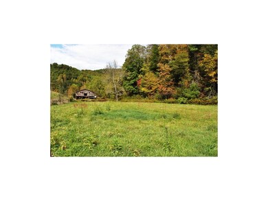 Lower Pasture