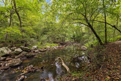 151 Riverine Dr, Pittsboro, NC 27312 - photo 2