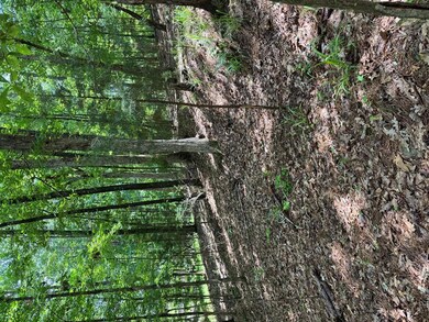 Lot 159 Ph1Sec2 Piedmont Lake Rd, Pine Mountain, GA 31822 - photo 5