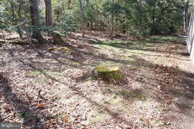 43949 Willow Leaf Way, California, MD 20619 - photo 7