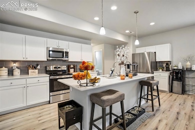 6242 Barr Point, Colorado Springs, CO 80924 - photo 7