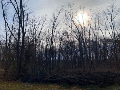 1273 E Bridge St, Lyons, MI 48851 - photo 3