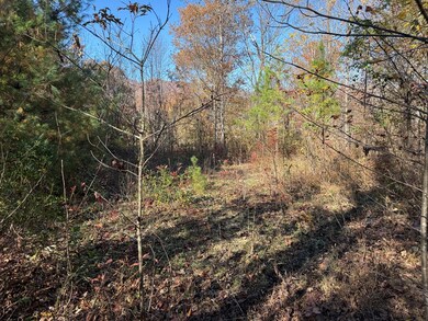 0 Summit Ridge Trail unit 154160, Marble, NC 28905 - photo 6