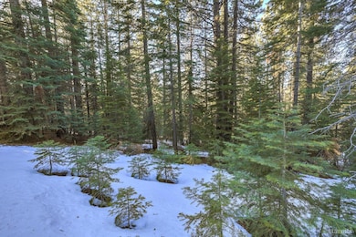 1346 Thunderbird Dr, South Lake Tahoe, CA 96150 - photo 3