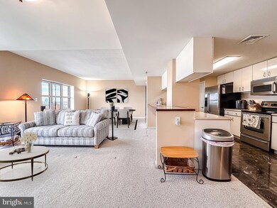 Scarlett Place unit 1103, Baltimore, MD 21202 - photo 3