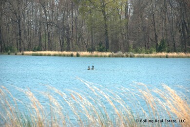 DSC_1947.jpg