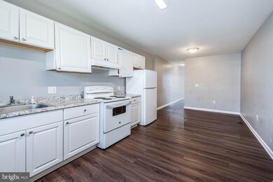 2110 E Hoffman St, Baltimore, MD 21213 - photo 4