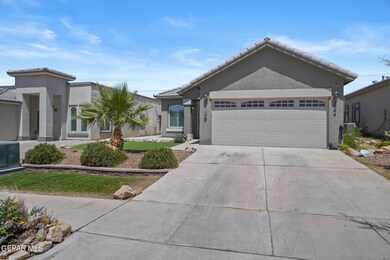 2-web-or-mls-_DSC5279