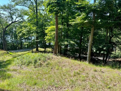 Lot 4 towards Lake Michigan