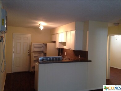 1241 N Lbj Dr unit B, San Marcos, TX 78666 - photo 4