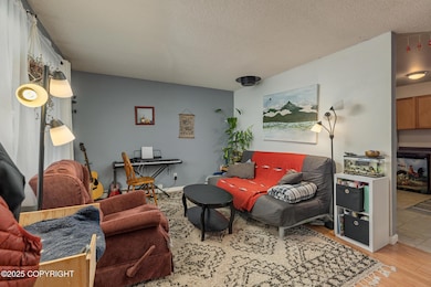 3837 Williams St, Anchorage, AK 99508 - photo 6