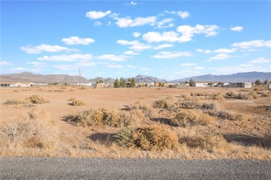 4230 W Joann St, Pahrump, NV 89048 - photo 3