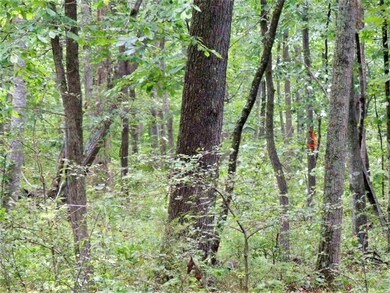 Lot 38 Whippoorwill Ln, 4, Newport, VA 22835 - photo 5