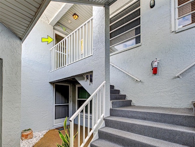 Steps leading to the front door