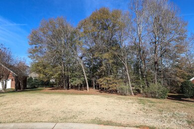 3048 Patrick Place Cir unit 10, Clover, SC 29710 - photo 5