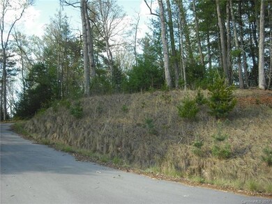 5 Hunting Ridge unit LOT 11, Leicester, NC 28748 - photo 5