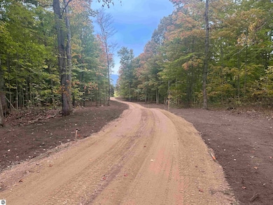 11605 S Tower Rd unit 5, Kasson Township, MI 49664 - photo 7