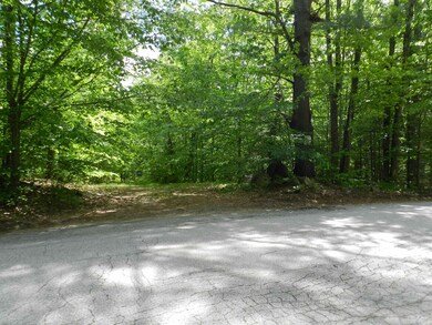 00 Governors Rd, Union, NH 03887 - photo 3