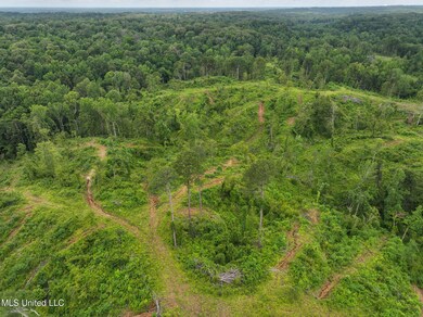 DJI_20250529105618_0004_D