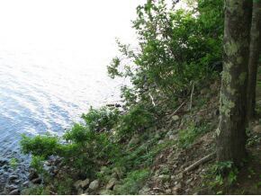 4 S Shore Rd, Center Ossipee, NH 03814 - photo 4