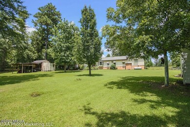 backyard1