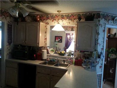 Decorate kitchen w/double sink and a pass thru win