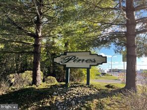 175 White Pine Dr, Millsboro, DE 19966 - photo 4