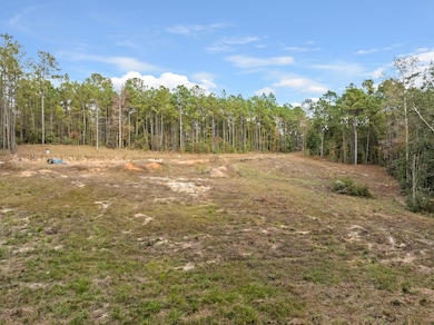 143 Luther Saucier Rd, Lumberton, MS 39455 - photo 5