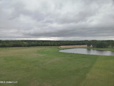 DJI_20250331195455_0003_V