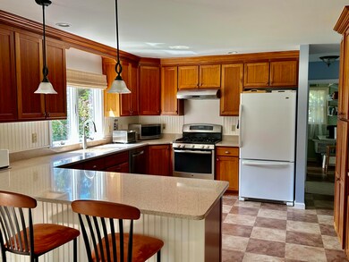 kitchenfisk1