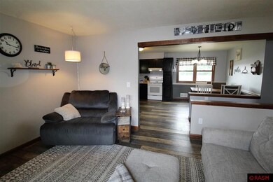 1116 N Spring St, New Ulm, MN 56073 - photo 4