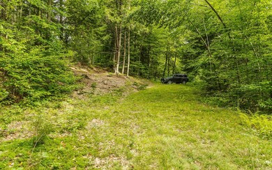 00 Mellish Rd, Alstead, NH 03602 - photo 2