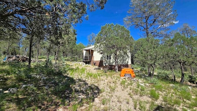 14 Scenic Loop unit 32+, Cloudcroft, NM 88317 - photo 2