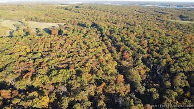 0000 Cohea Ln, Afton, OK 74331 - photo 4