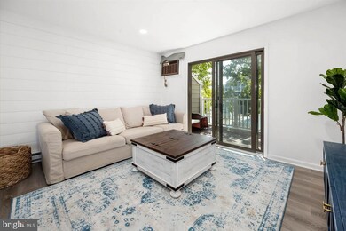 161 Captains Quarters Rd unit 1003, Ocean City, MD 21842 - photo 4