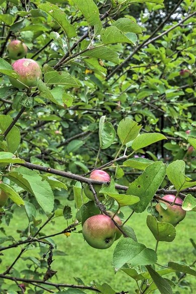 15 High St, Gilsum, NH 03448 - photo 4