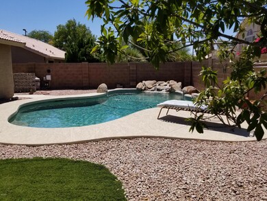 Pool with Waterfall