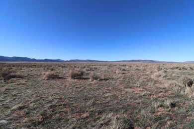 IMG_0998a